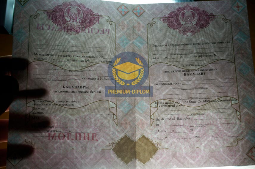 Бакалавр 2009 - 2026 с отличием (Казахстан) - фото